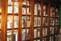 Biniszewicze-biblioteka