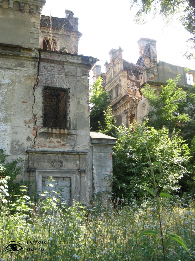 Dziewin-ruiny-renesansowego-pałacu-frgm4-stan-2013-r