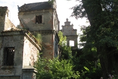 Dziewin-ruiny-renesansowego-pałacu-frgm1