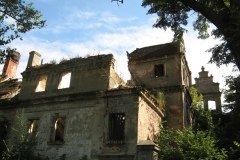 Dziewin-ruiny-renesansowego-pałacu-frgm3