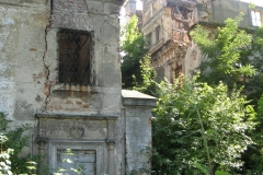 Dziewin-ruiny-renesansowego-pałacu-frgm4-stan-2013-r